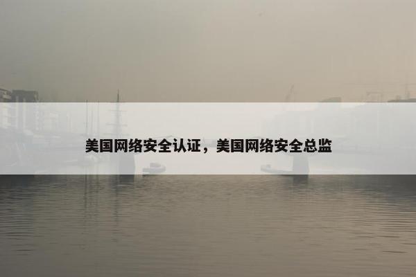美国网络安全认证，美国网络安全总监