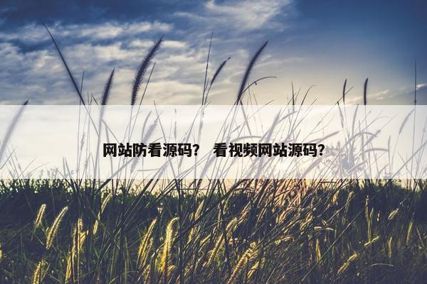 网站防看源码？ 看视频网站源码？