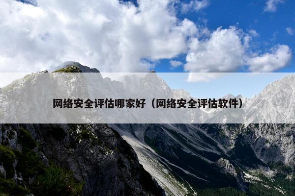 网络安全评估哪家好（网络安全评估软件）