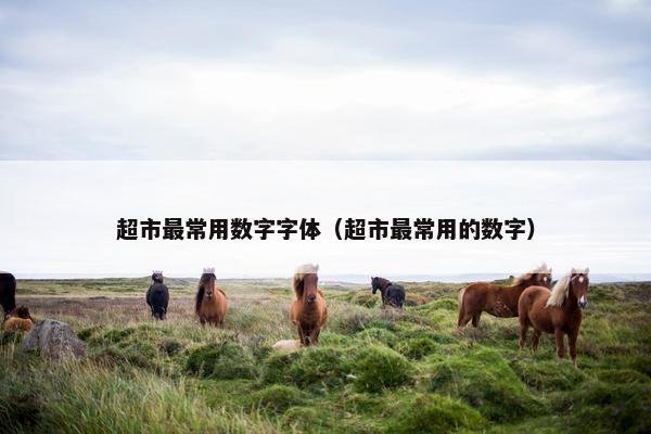 超市最常用数字字体（超市最常用的数字）
