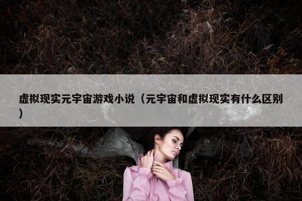 虚拟现实元宇宙游戏小说（元宇宙和虚拟现实有什么区别）