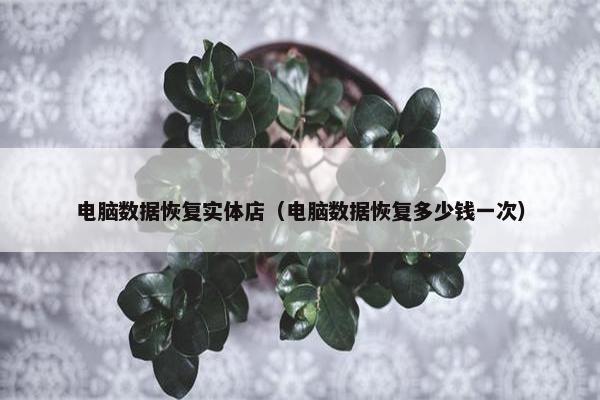电脑数据恢复实体店（电脑数据恢复多少钱一次）