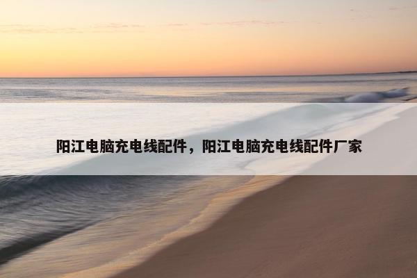 阳江电脑充电线配件，阳江电脑充电线配件厂家