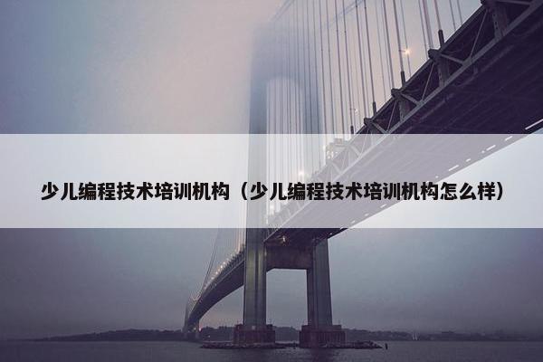 少儿编程技术培训机构（少儿编程技术培训机构怎么样）