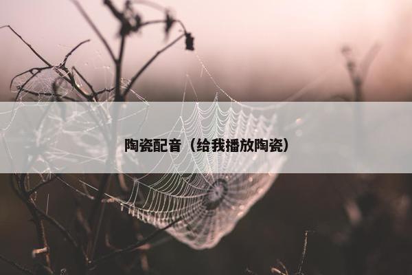 陶瓷配音（给我播放陶瓷）