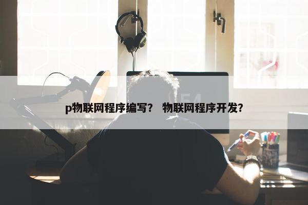 p物联网程序编写？ 物联网程序开发？