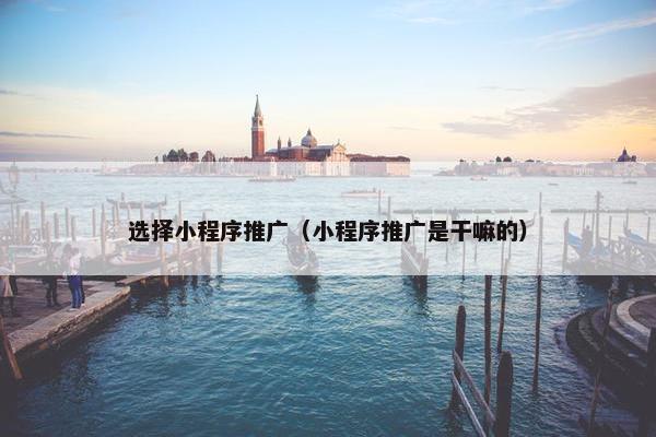 选择小程序推广（小程序推广是干嘛的）