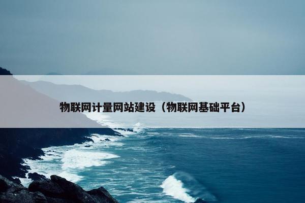 物联网计量网站建设（物联网基础平台）