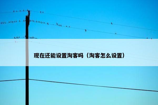 现在还能设置淘客吗（淘客怎么设置）