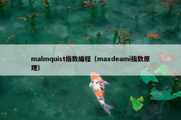 malmquist指数编程（maxdeami指数原理）