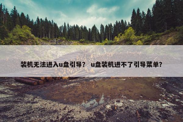 装机无法进入u盘引导？ u盘装机进不了引导菜单？
