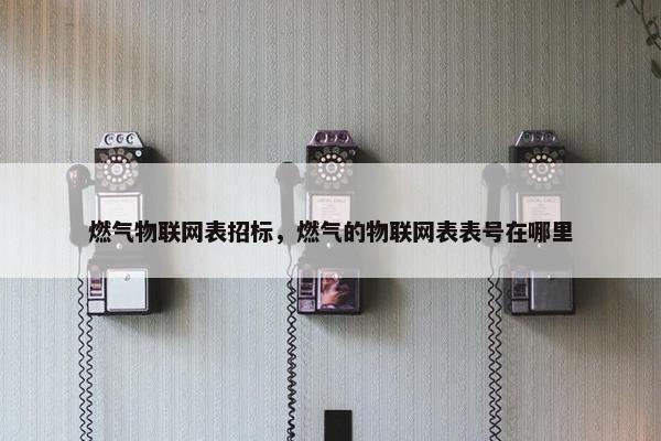 燃气物联网表招标，燃气的物联网表表号在哪里