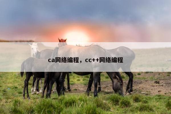 ca网络编程，cc++网络编程