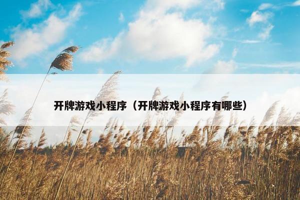 开牌游戏小程序（开牌游戏小程序有哪些）