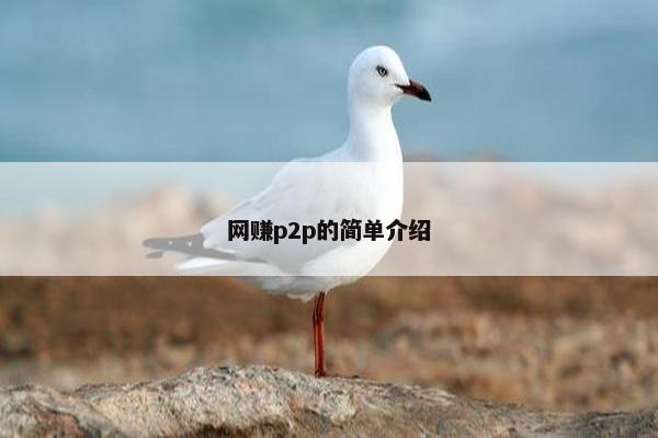 网赚p2p的简单介绍
