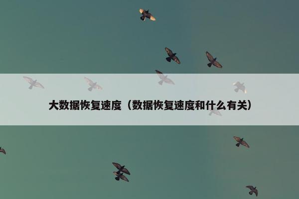 大数据恢复速度（数据恢复速度和什么有关）