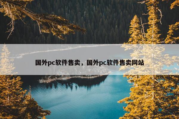国外pc软件售卖，国外pc软件售卖网站