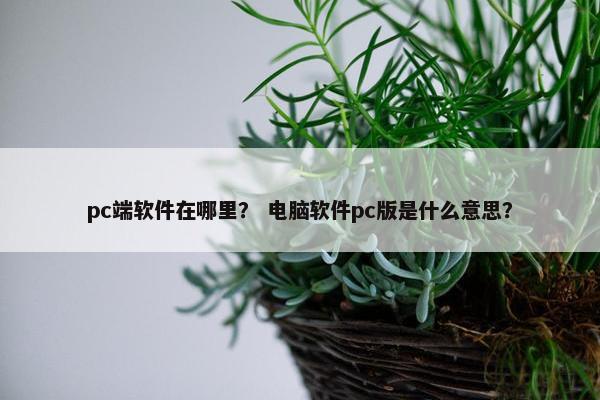 pc端软件在哪里？ 电脑软件pc版是什么意思？