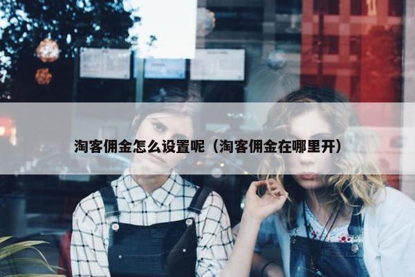 淘客佣金怎么设置呢（淘客佣金在哪里开）