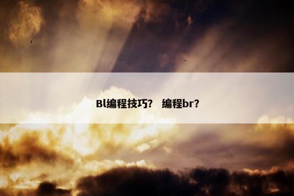 Bl编程技巧？ 编程br？