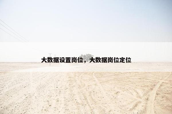 大数据设置岗位，大数据岗位定位