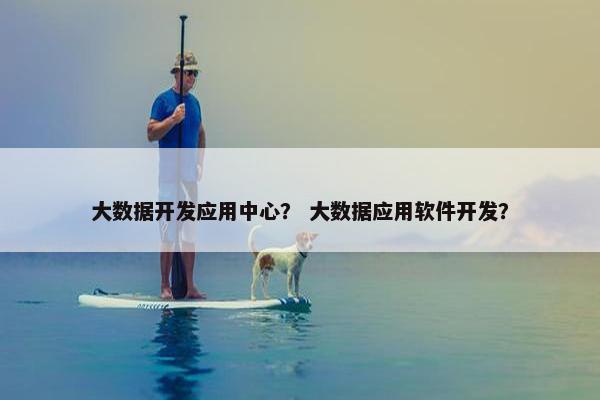 大数据开发应用中心？ 大数据应用软件开发？