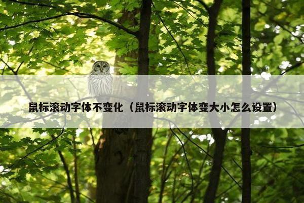 鼠标滚动字体不变化（鼠标滚动字体变大小怎么设置）