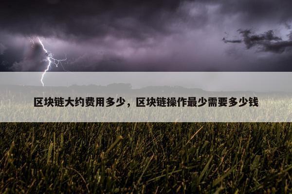 区块链大约费用多少，区块链操作最少需要多少钱