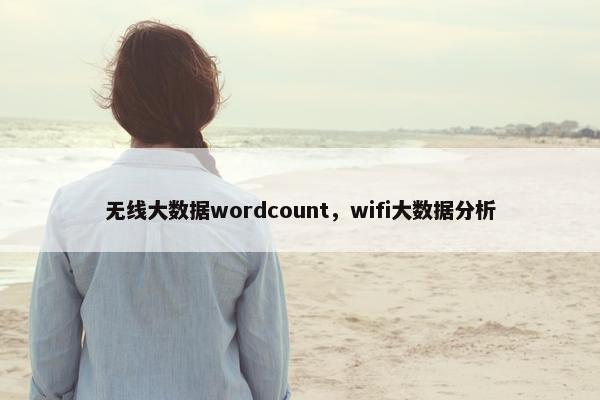 无线大数据wordcount，wifi大数据分析
