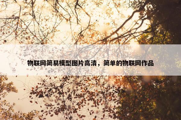 物联网简易模型图片高清，简单的物联网作品