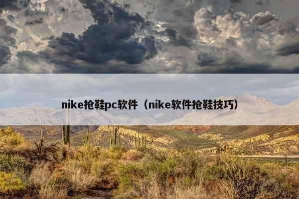 nike抢鞋pc软件（nike软件抢鞋技巧）