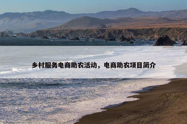 乡村服务电商助农活动，电商助农项目简介