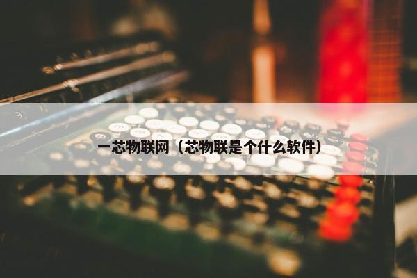 一芯物联网（芯物联是个什么软件）