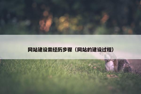 网站建设需经历步骤（网站的建设过程）