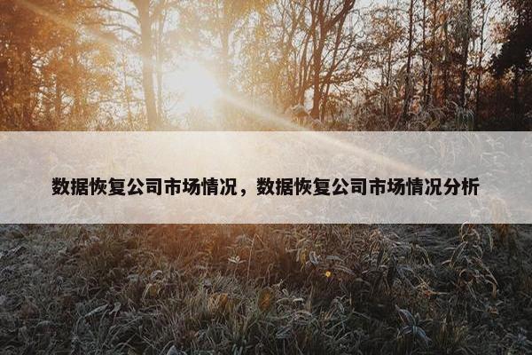 数据恢复公司市场情况，数据恢复公司市场情况分析