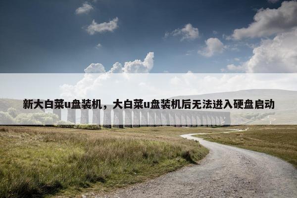 新大白菜u盘装机，大白菜u盘装机后无法进入硬盘启动