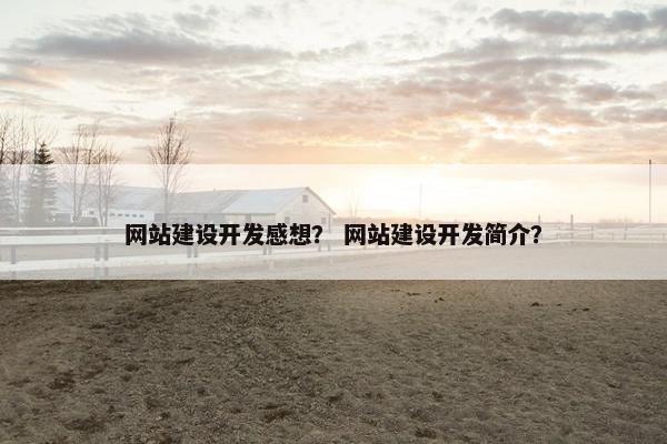 网站建设开发感想？ 网站建设开发简介？