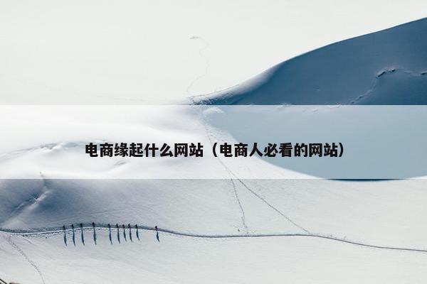 电商缘起什么网站（电商人必看的网站）