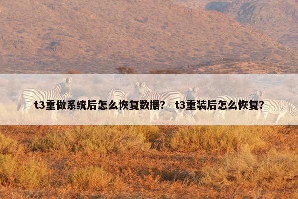 t3重做系统后怎么恢复数据？ t3重装后怎么恢复？
