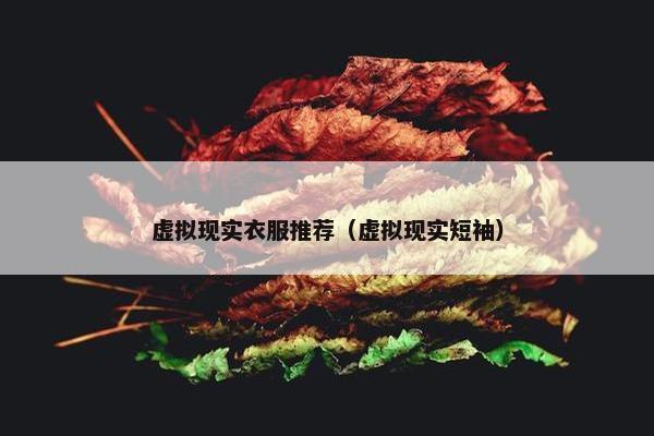 虚拟现实衣服推荐（虚拟现实短袖）