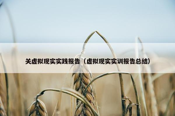 关虚拟现实实践报告（虚拟现实实训报告总结）