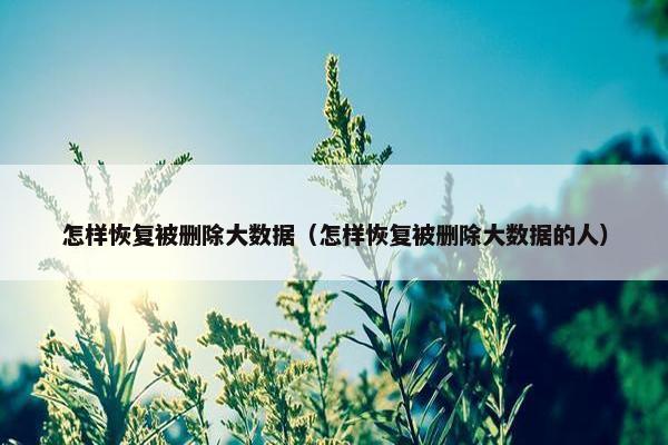 怎样恢复被删除大数据（怎样恢复被删除大数据的人）