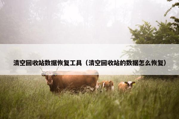 清空回收站数据恢复工具（清空回收站的数据怎么恢复）