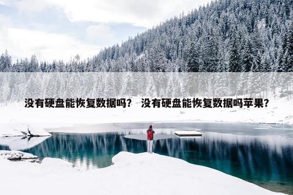 没有硬盘能恢复数据吗？ 没有硬盘能恢复数据吗苹果？