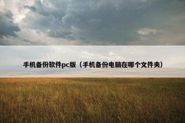 手机备份软件pc版（手机备份电脑在哪个文件夹）