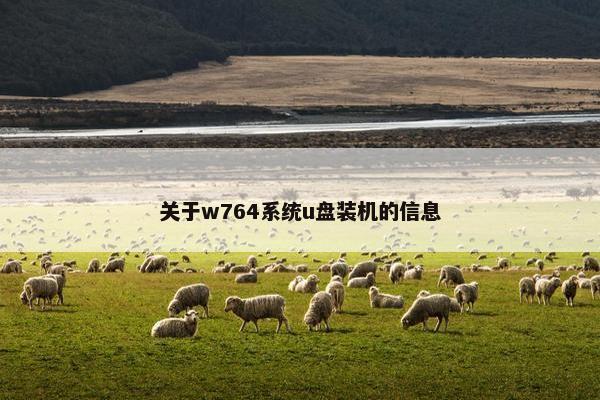 关于w764系统u盘装机的信息