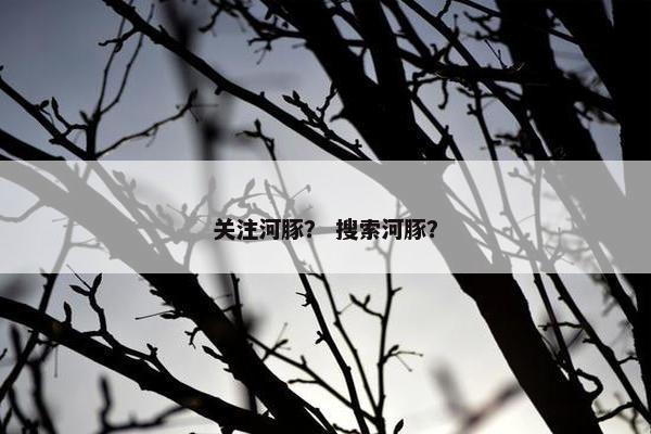 关注河豚？ 搜索河豚？