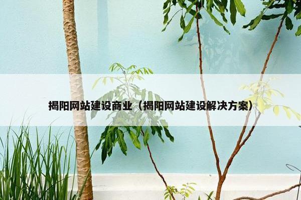 揭阳网站建设商业（揭阳网站建设解决方案）