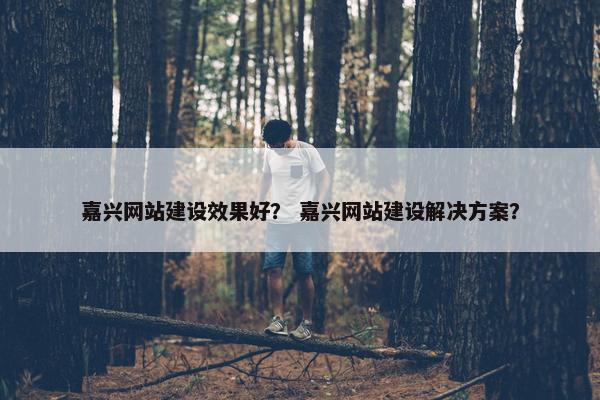 嘉兴网站建设效果好？ 嘉兴网站建设解决方案？