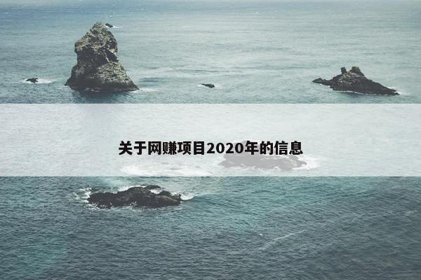关于网赚项目2020年的信息